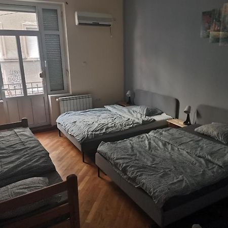 Cozy Palace Vandrehjem Beograd Eksteriør billede
