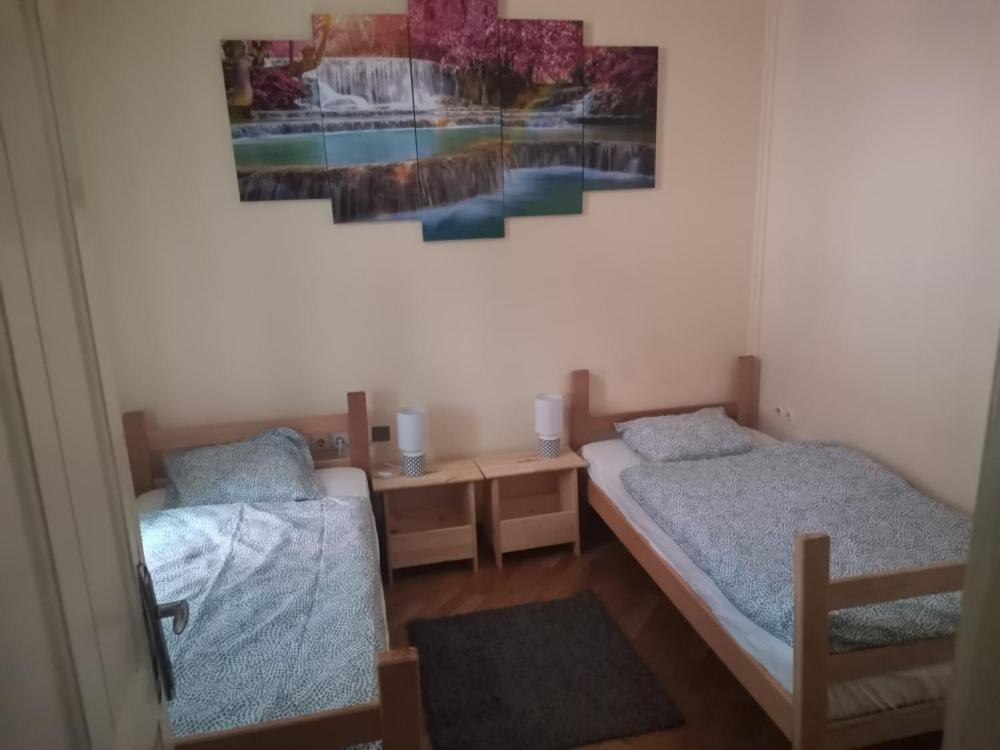 Cozy Palace Vandrehjem Beograd Eksteriør billede
