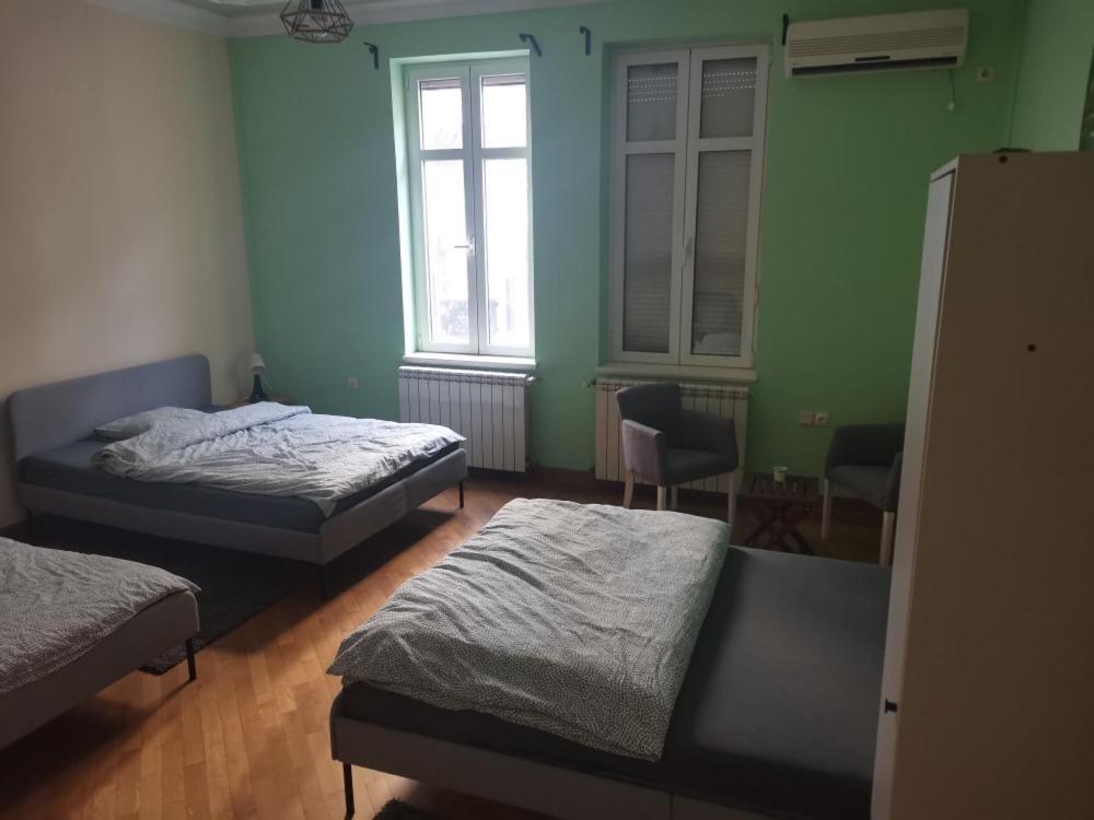 Cozy Palace Vandrehjem Beograd Eksteriør billede