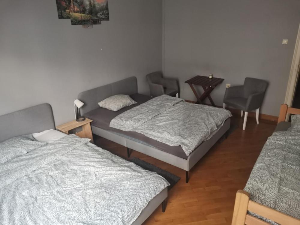 Cozy Palace Vandrehjem Beograd Eksteriør billede